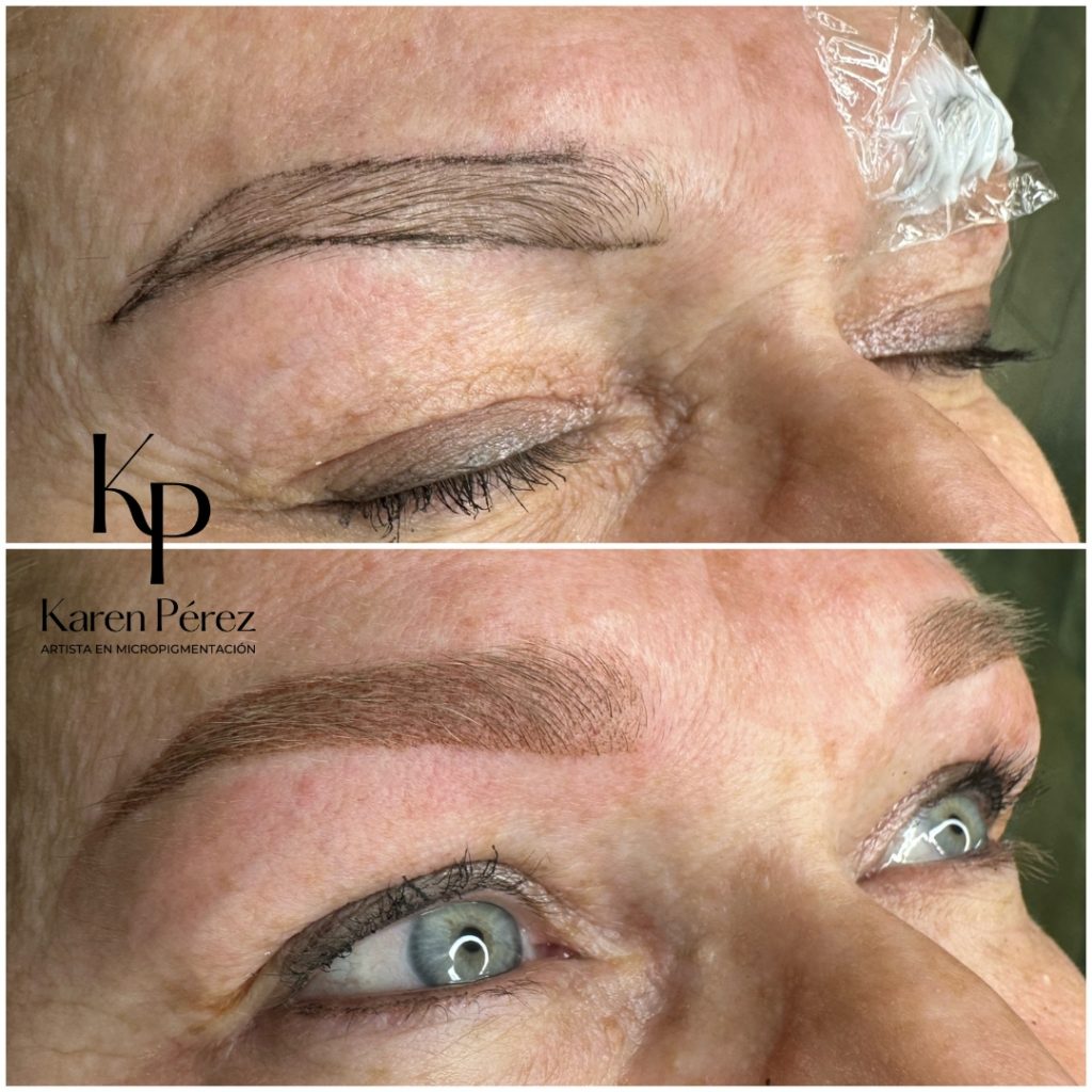 Shading polvo de hadas cejas maquillaje semipermanente sombreado mujer Karen Pérez